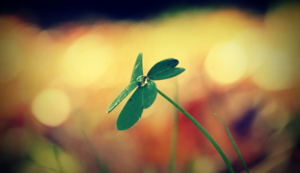 拜仁迎战巴黎圣日尔曼，德法豪门争夺胜利