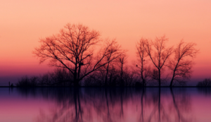 切尔西悲情出局！曼城逆袭夺决赛