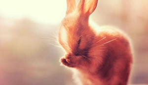 切尔西悲情出局！曼城逆袭夺决赛