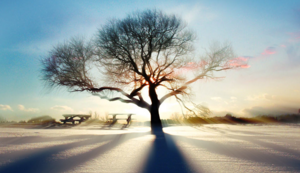 81次，日本国脚伊东纯也本赛季关键传球数领跑法甲，日本伊东市在哪