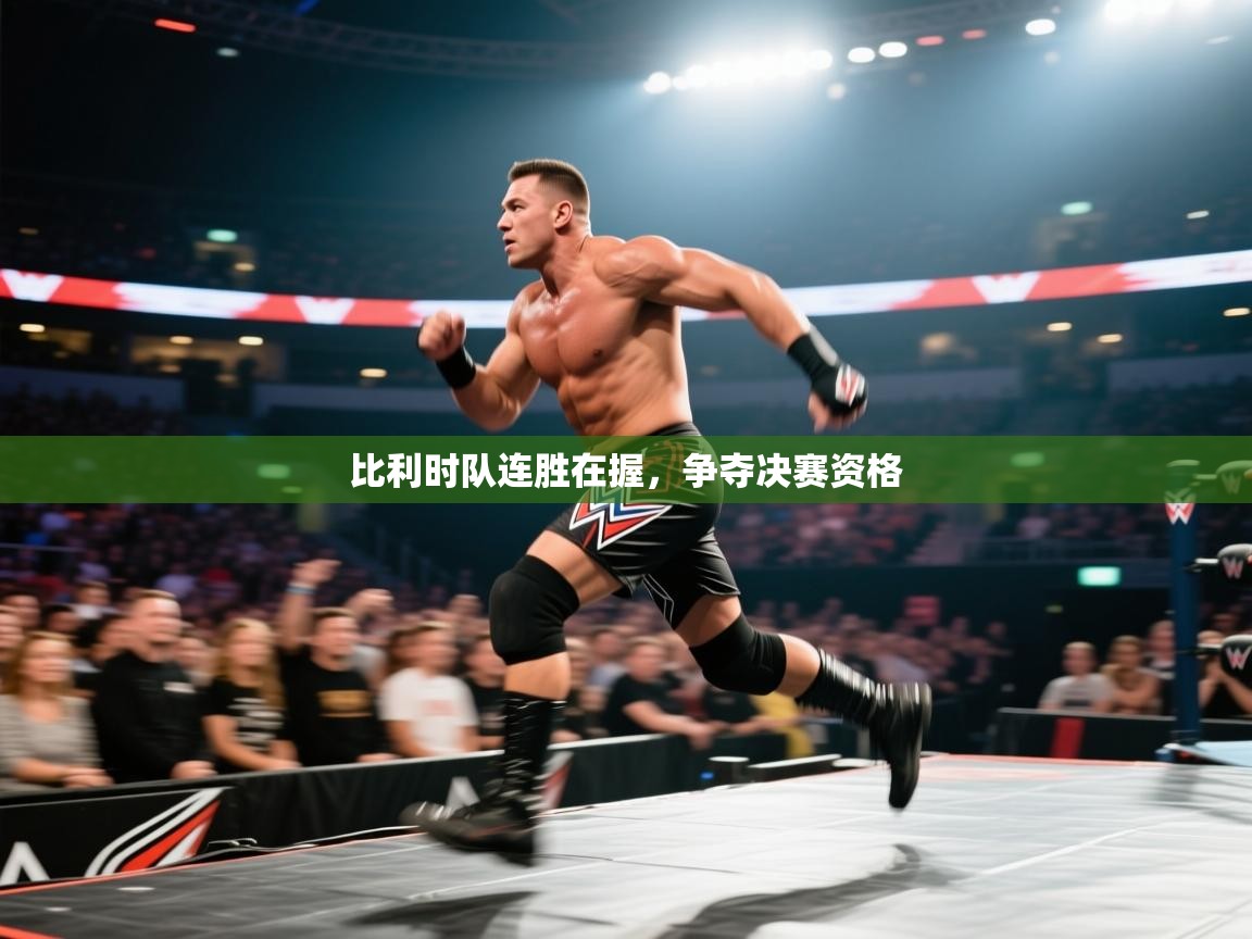 比利时队连胜在握，争夺决赛资格  第1张