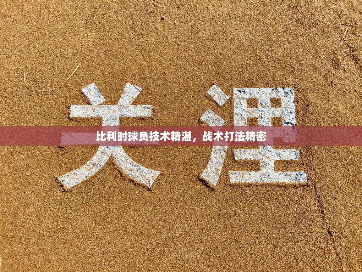 比利时球员技术精湛，战术打法精密