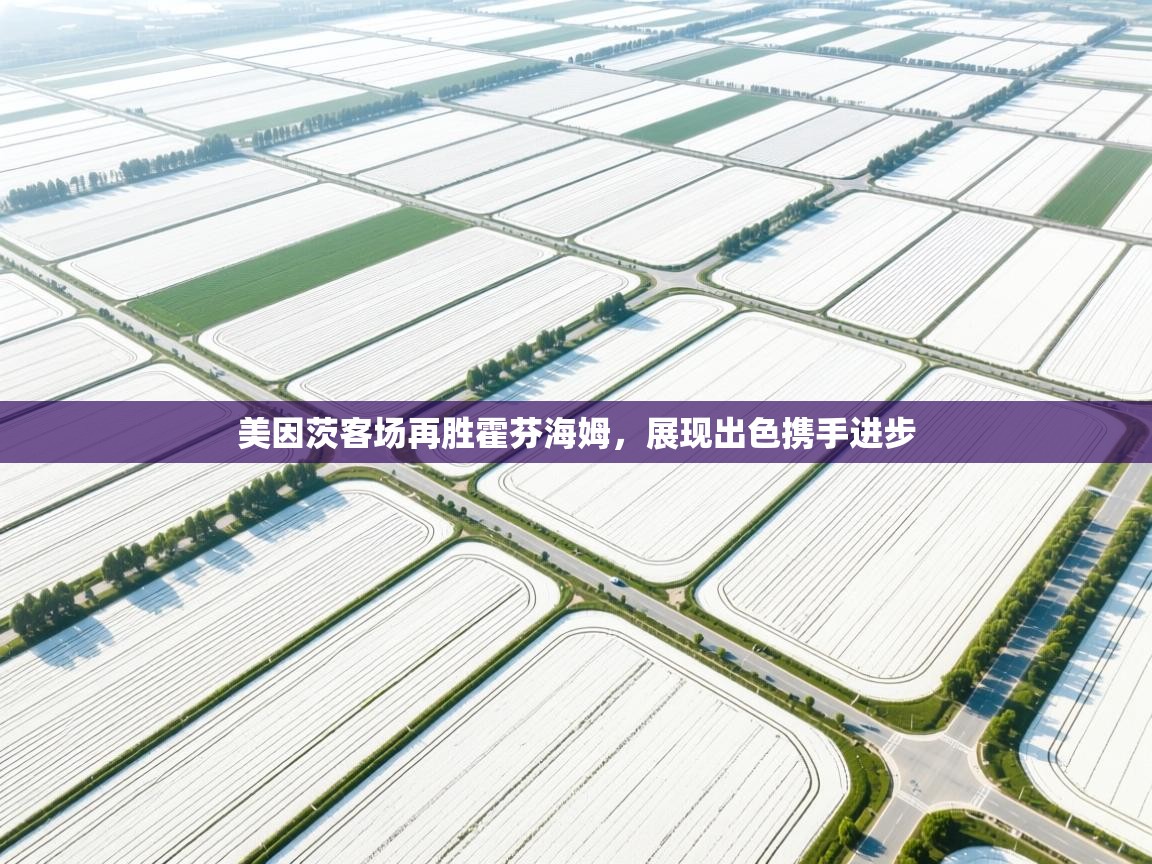 美因茨客场再胜霍芬海姆，展现出色携手进步