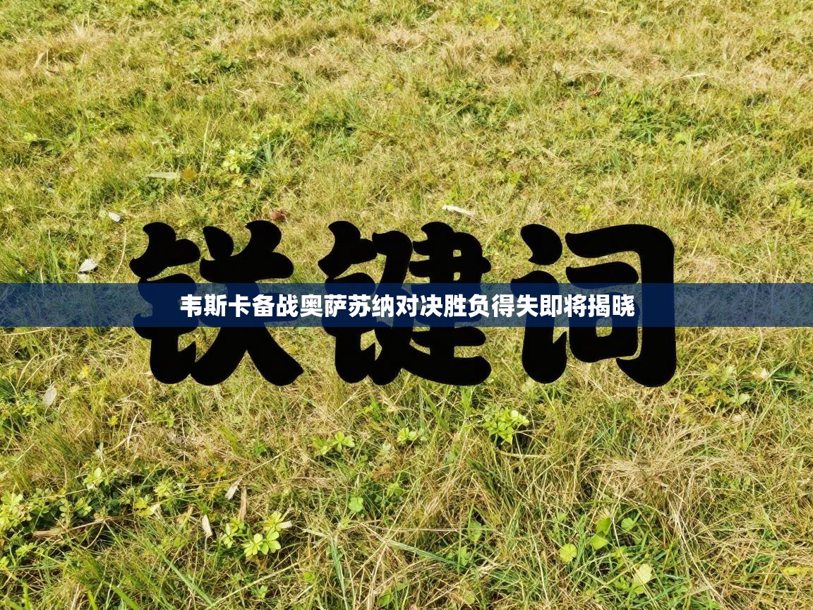 韦斯卡备战奥萨苏纳对决胜负得失即将揭晓